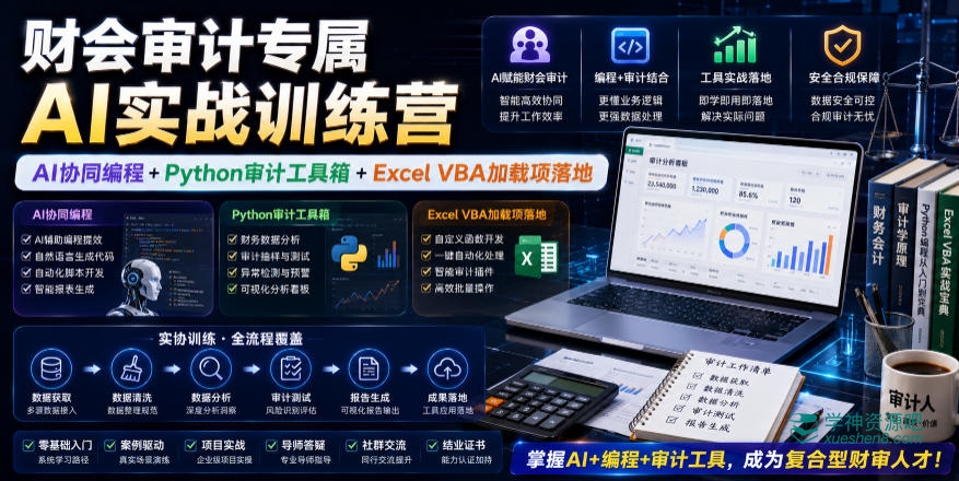财会审计专属AI实战训练营｜AI协同编程+Python审计工具箱+Excel VBA加载项落地 夸克网盘